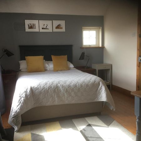 Dromelihy House Stud Pensionat Doonbeg Exteriör bild